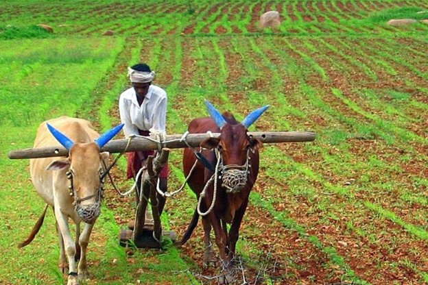 Empowering Karnataka Farmers: YuvaLok’s Green Revolution Initiatives